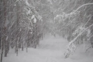 Работники «РСК» перешли в режим повышенной готовности