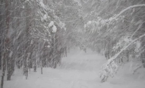 Работники «РСК» перешли в режим повышенной готовности