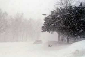 Метель и сильный ветер ожидаются в ЛНР ночью и утром 17 декабря